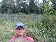 Canal in Offaly is the place to be for tench and bream
