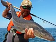 Irish Angling Update – 12 July 2018