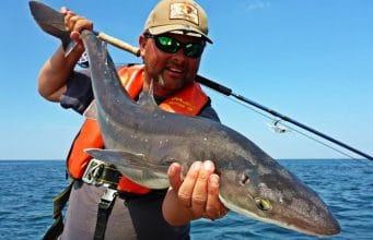 Irish Angling Update – 12 July 2018