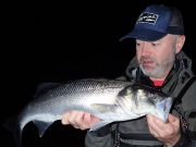 Night bass a relief for West Cork angler
