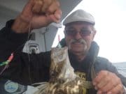 Everything but sharks for Clare charter boat anglers