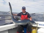 Great shark fishing reported from the south east