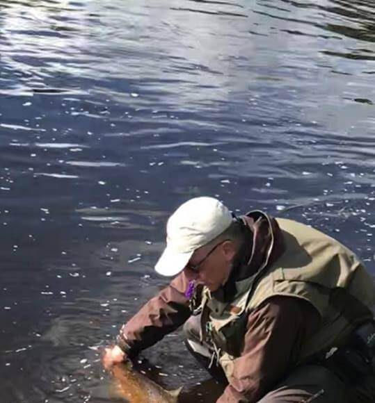 Catch and Release