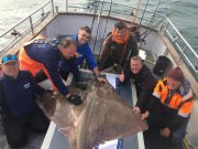 Great skate fishing continues at Courtmacsherry Catch and Release