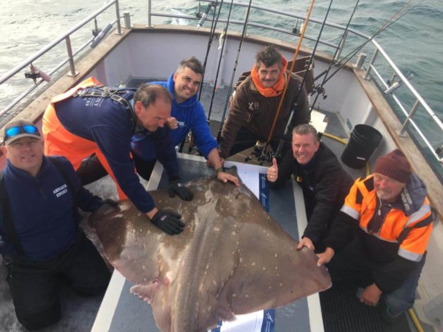 Catch and Release