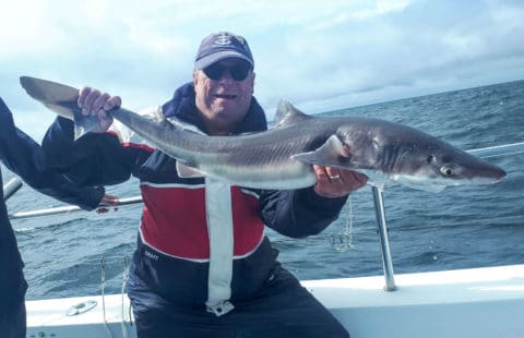A nice spurdog for Dutch angler Henk