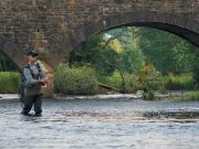 Kyne announces new angling bye-laws for Galway and Mayo Angler fly fishing