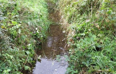 A sea trout spawning channel 