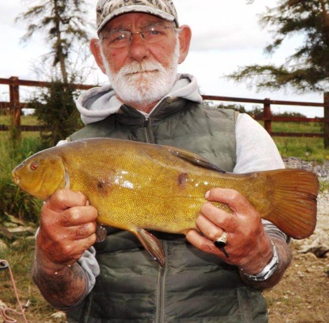 Nice Tench for Dennis