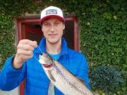 Over 200 salmon reported from the River Moy