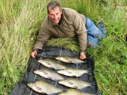 Good bream catches during the cooler periods around Longford