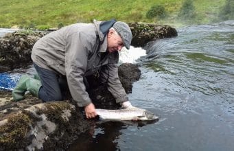 Irish Angling Update 24 August 2018