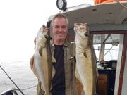 Specimen pollack, good cod, plenty of blues on Tigger pollack