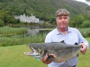 Monster salmon from Kylemore as conditions improve