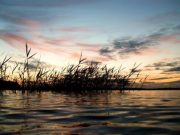 Irish Angling Update – July 26 2018
