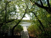Grantstown Lake fishing well