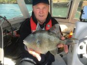 Skua wins the Cork Small Boats Festival with 24 species