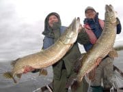 Irish Angling Update 26 October 2018