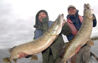Irish Angling Update 26 October 2018