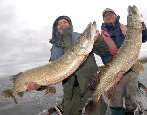 Irish Angling Update 26 October 2018