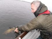 Mayfly Magic for Des Johnston on Lough Sheelin pike