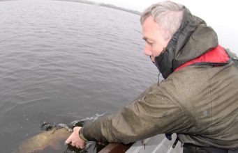 pike