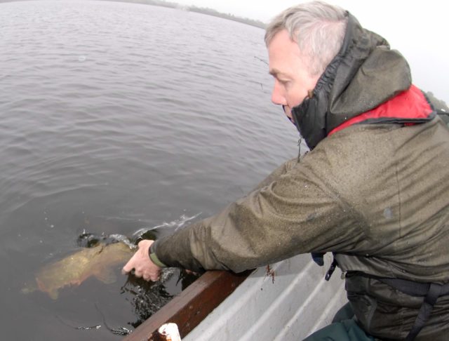 pike