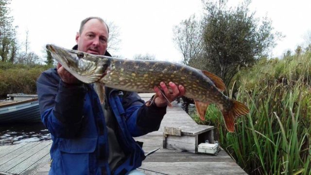 pike