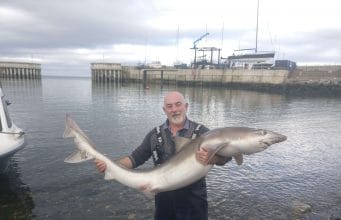 75lb tope at Greystones a new record record fish
