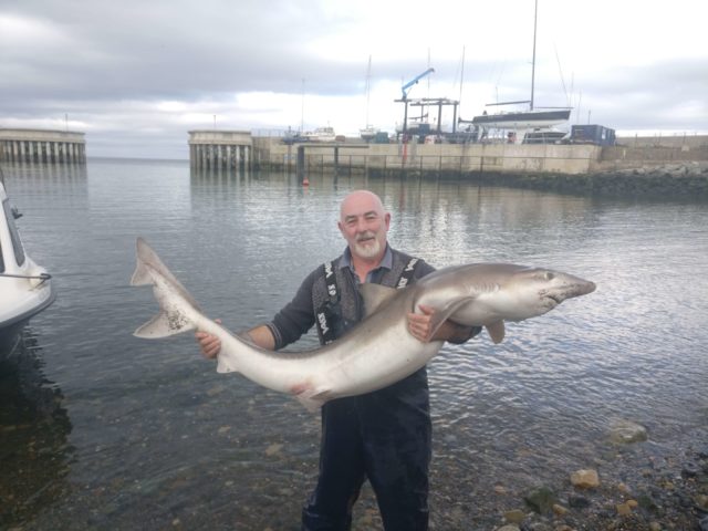 record fish