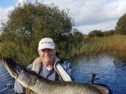 Great pike to be caught about Longford, deadbaits best Kevin with a cracking 1.14m Pike.