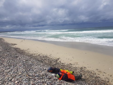 beach fishing