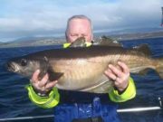 Cracking specimen pollack out of Killybegs