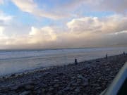 Tralee Bay anglers loving tough conditions and catching fish