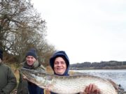 A good day on Blessington for Newbridge Pike Anglers