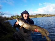 Newbridge pike anglers get a good day for last comp of year