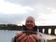 Munster coarse anglers have a tough match at O’Briensbridge
