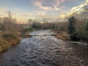 Irish Angling Update – 11 January 2019