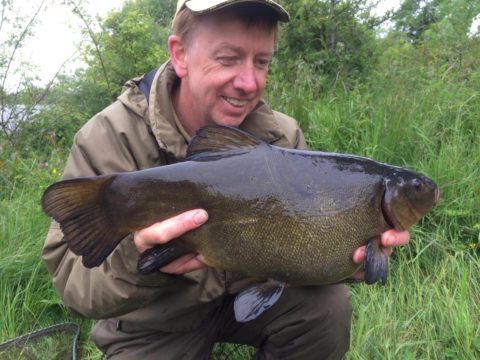 tench