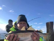Pollack and dogs for Co. Clare’s Lady Gwen