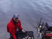 Fantastic festival fishing at Inniscarra