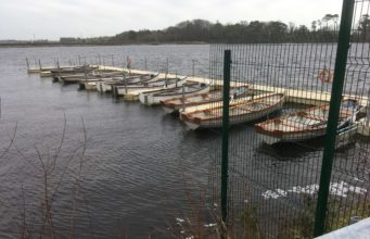 Plenty of well-fed rainbows in Waterford as season swings into gear
