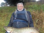 Good piking on the River Inny, fish to 26lb 2oz caught