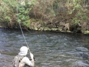 Irish Angling Update – 29 March 2019