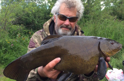 Tench