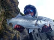 Bass anglers get the show under way in Kerry