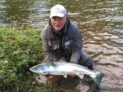 Flying Start to the Season on the River Boyne With Two Nice 16lb Salmon