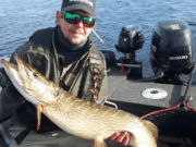Lough Ree high, pike spawning, but some fish feeding
