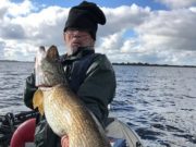 Good Sized Pike Make Late Rush on Derravaragh