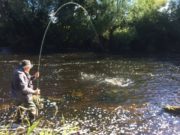 New Fishing Opportunities with the Mount Juliet Fishing Club on the River Nore